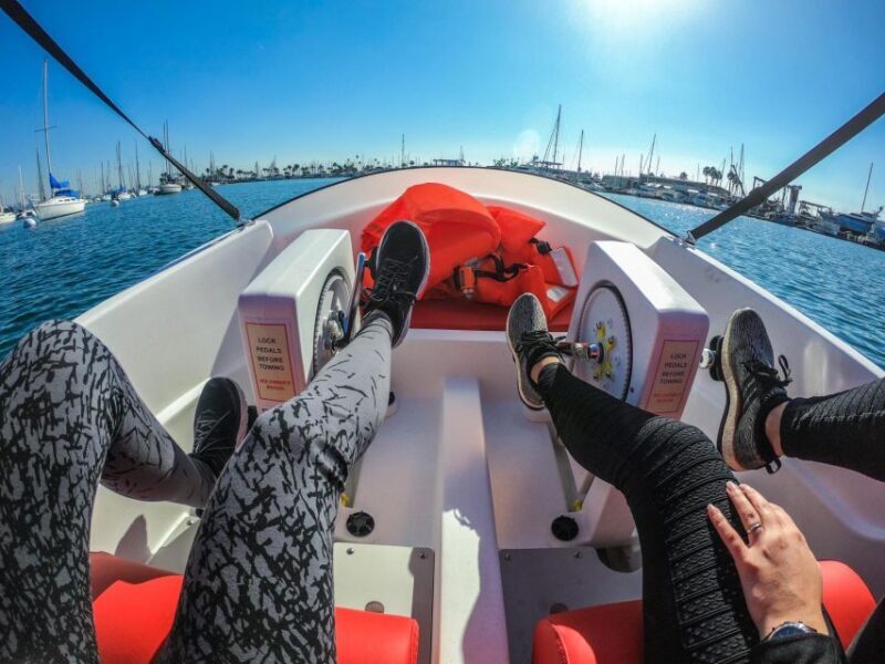 San Diego: San Diego Bay Dog-Friendly Eco Pedal Boat Rentals - Final Thoughts