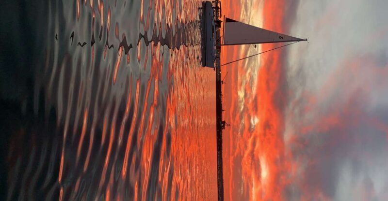 San Diego: San Diego Bay Sunset & Daytime Sailing Experience - Who Will Love This Experience?