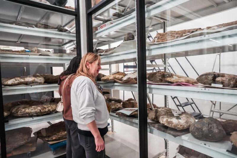 San Diego: San Diego Natural History Museum Ticket - Who Should Visit?