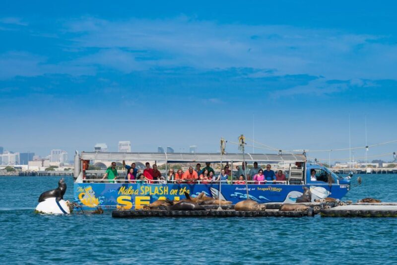 San Diego: SEAL City Tour by Amphibious Bus - Transportation, Timing, and Group Size