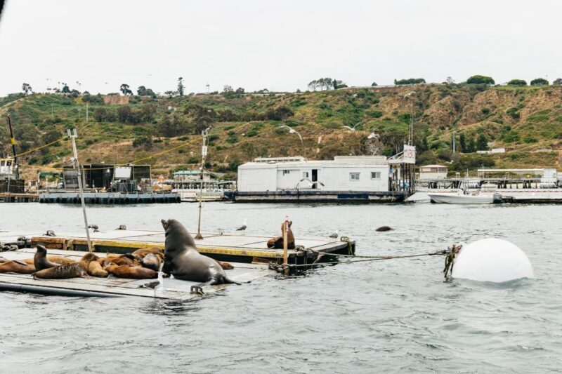 San Diego: SEAL City Tour by Amphibious Bus - Price and Value