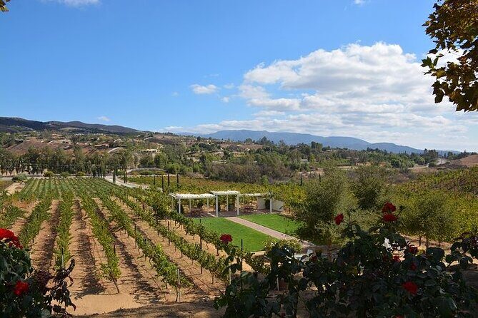 San Diego to Temecula: Wine Country Tour & Historic Old Town - In The Sum Up