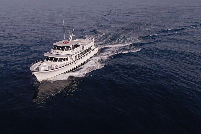 San Diego Whale Watching 3 Hour Tour Mission Bay on the Legacy - A Close-Up Look at the San Diego Whale Watching 3-Hour Tour on the Legacy