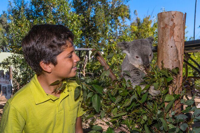 San Diego Zoo 1-Day Pass: Any Day Ticket - FAQ
