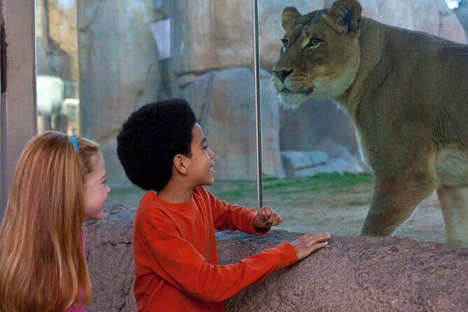 San Diego Zoo and Safari Park 2-Visit Pass Ticket - Exploring the San Diego Zoo and Safari Park in Depth