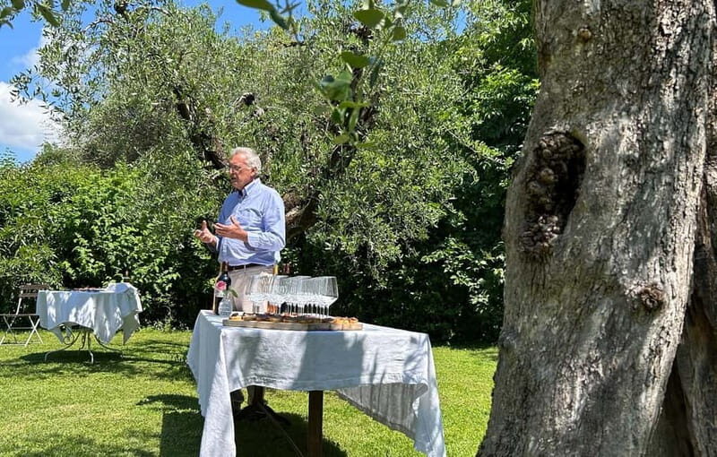 San Felice del Benaco: Vineyard Tour with Wine Tasting - Walk Through the Vineyard and the Production Process