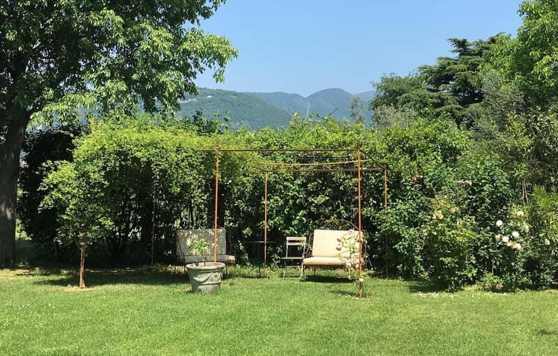 San Felice del Benaco: Vineyard Tour with Wine Tasting - Practical Details & Tips