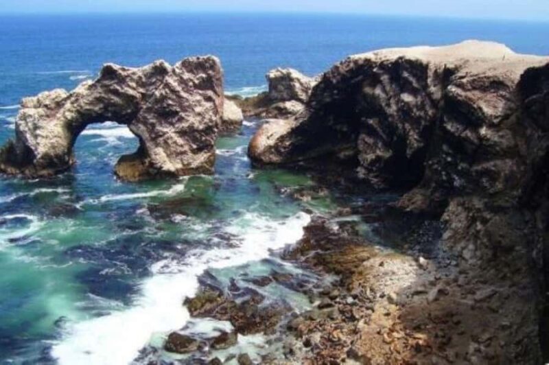 San Fernando Bay and Sandboarding in Nazca. - Exploring the Details of This Tour