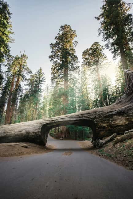 San Francisco: 2-Day Tour to Los Angeles with Parks - Key Points