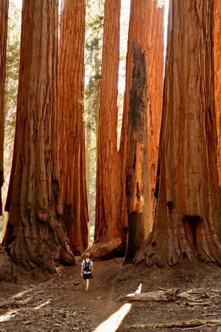 San Francisco: 2-Day Tour to Los Angeles with Parks - Who Should Consider This Tour?