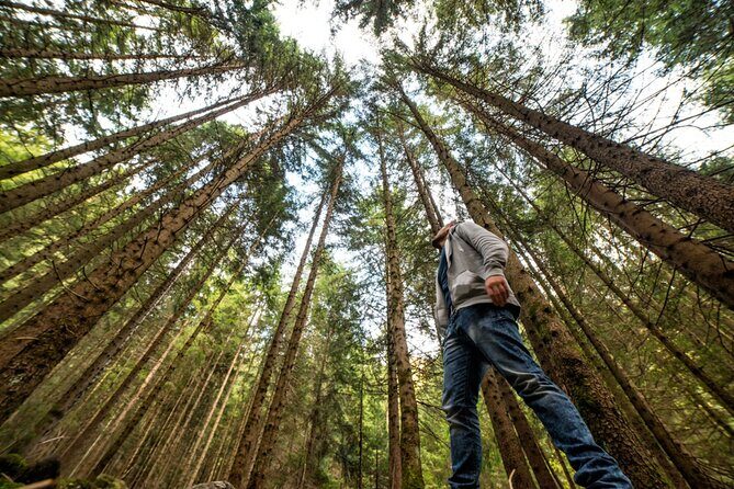 San Francisco Alcatraz Island and Guided Muir Woods Tour - Discovering San Francisco’s Top Sights in One Day