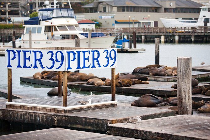 San Francisco Audio Guided Walking Tour 3h15 and 22 reviews - Practical Tips for the Tour