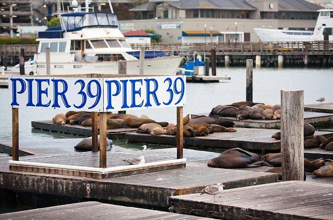 San Francisco Audio Guided Walking Tour 3h15 and 22 reviews - FAQ