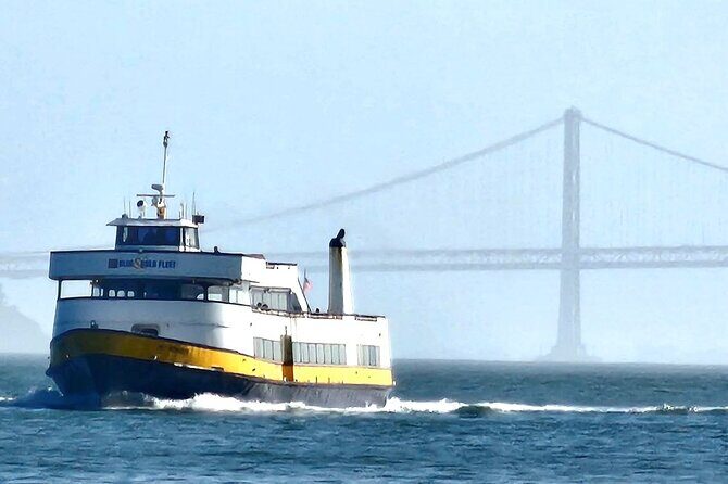 San Francisco Bay Cruise and City Combo Tour - Key Points