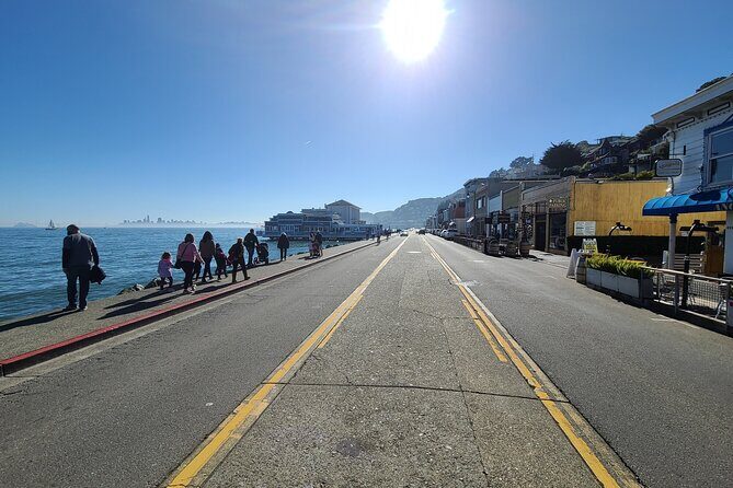 San Francisco Bay Cruise, Muir Woods and Sausalito Combo Tour - A Deep Dive into the Experience