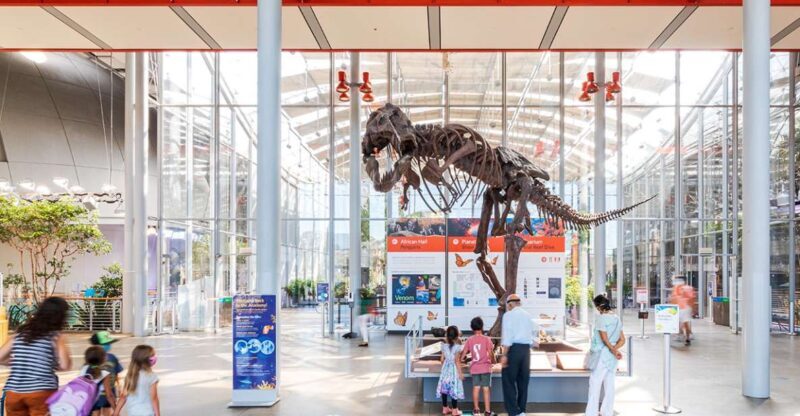 San Francisco: California Academy of Sciences Entry Ticket - The Sum Up
