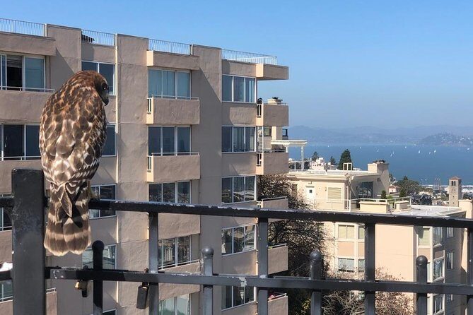 San Francisco Chinatown, Russian Hill, And North Beach Tour - Exploring San Francisco’s Neighborhoods: Chinatown, Russian Hill, and North Beach