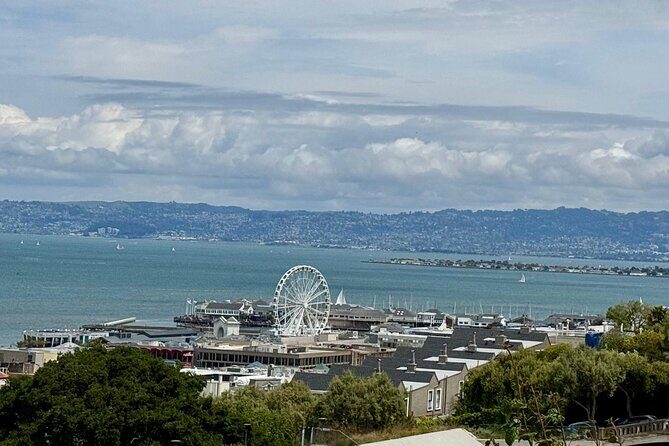 San Francisco City Tour in New EV Volkswagen Van - FAQs
