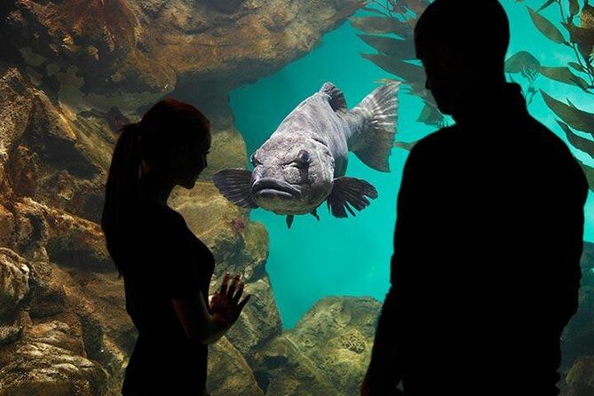 San Francisco CityPASS® - Frequently Asked Questions