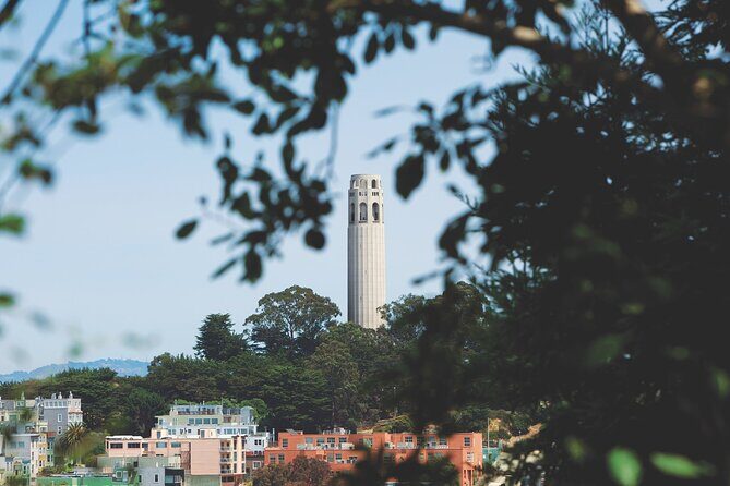 San Francisco: Coit Tower and Little Italy Guided Walking Tour - A Deep Dive into the San Francisco Experience