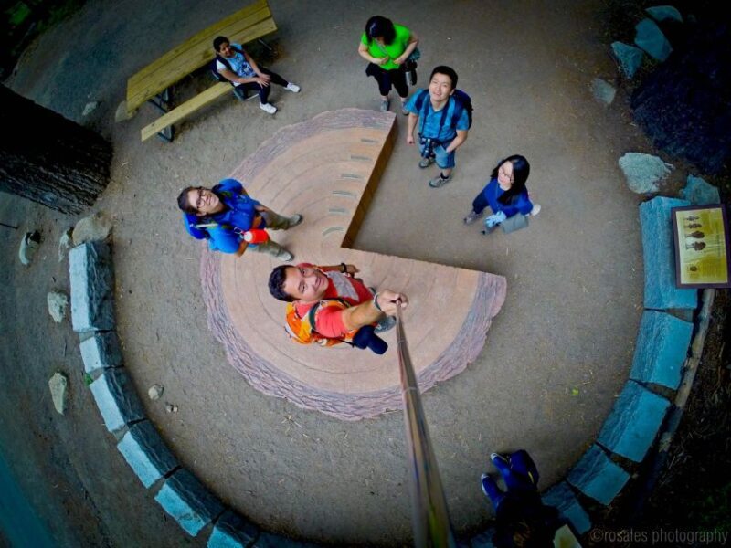 San Francisco: Day Trip to Yosemite with Giant Sequoias Hike - Key Points