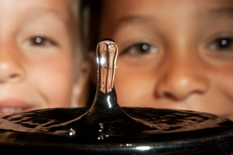 San Francisco Exploratorium Ticket: 700+ Hands-On Exhibits - Reviews and Authentic Perspectives