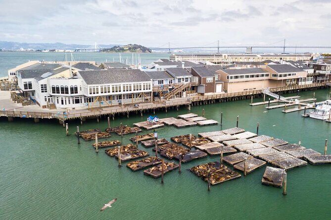 San Francisco Fisherman's Wharf Private 1-Hour Walking Tour - The Practicalities: What You Need to Know