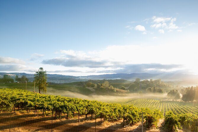 San Francisco: Full Day Coastal Redwoods & Wine Country Tour - The Sum Up: Who Should Consider This Tour?