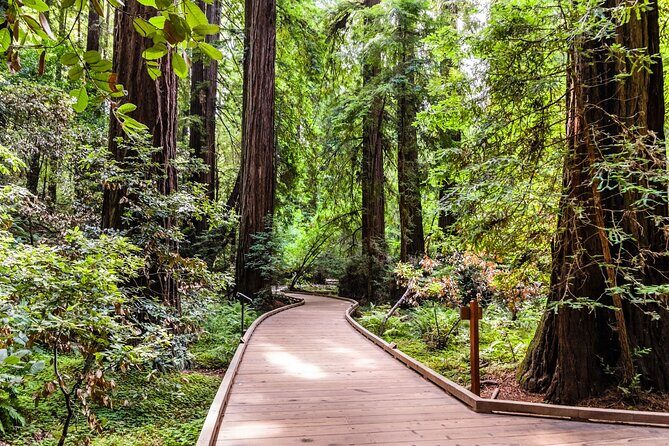 San Francisco, Golden Gate, Sausalito and Muir Woods Private Tour - Who Should Book This Tour?