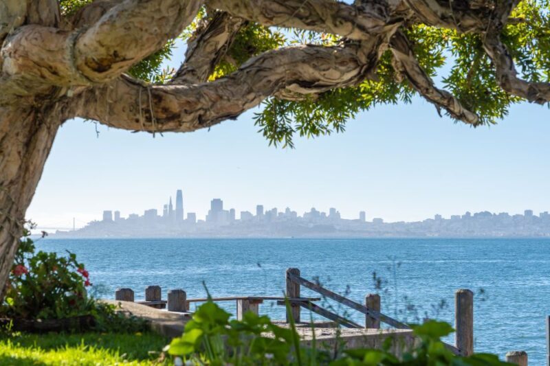 San Francisco Golden Gate Sausalito Muir Woods Private Tour - Value and Practicality