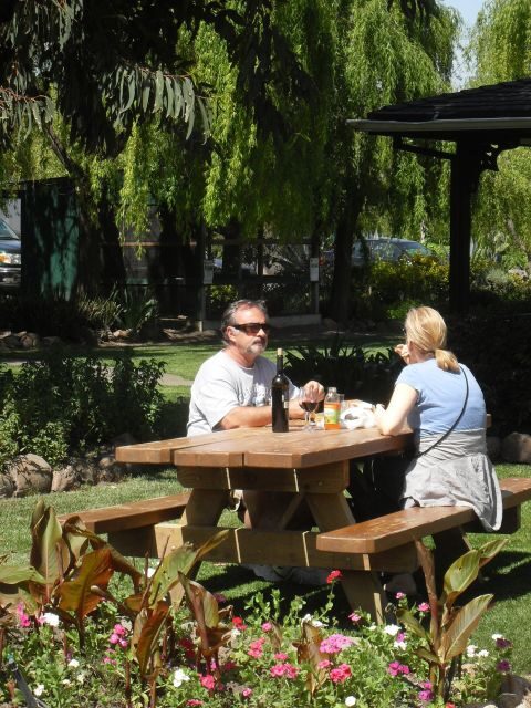 San Francisco: Half Day Wine Tour & Hop-On Hop-Off City Tour - Practicalities and Tips