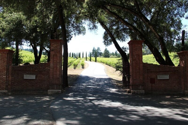 San Francisco: Half Day Wine Tour & Hop-On Hop-Off City Tour - Value and Who It’s For