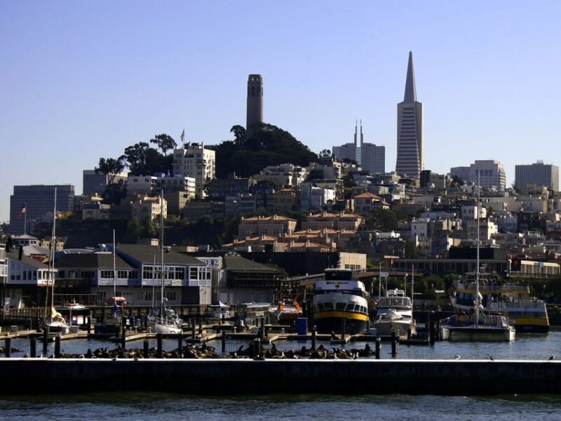 San Francisco: Hop-On Hop-Off City Bus Tour and Bay Cruise - Who Will Get the Most Out of This Experience?