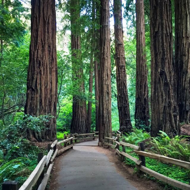 San Francisco: Hop-On Hop-Off Sightseeing Tour with 17 Stops - Final Thoughts