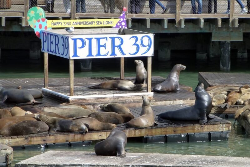 San Francisco: Hop-On Hop-Off Tour with Optional Night Tour - A Detailed Look at the Experience