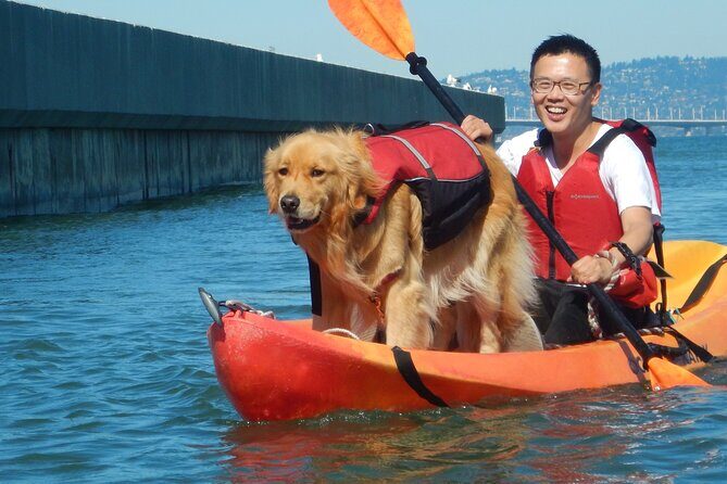 San Francisco Kayak Trip- 1 Hour - FAQ