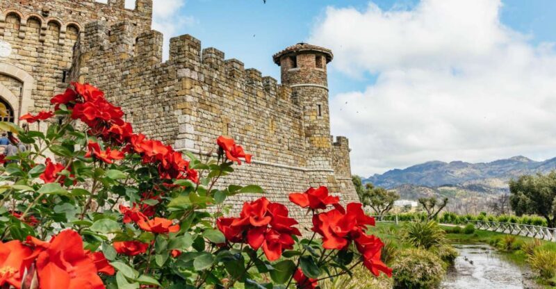 San Francisco: Luxury Small-Group Wine Tour of Napa Valley - Potential Drawbacks to Consider