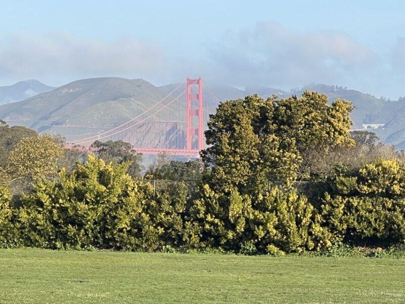 San Francisco: Major Landmarks Private Sightseeing Tour - The Sum Up
