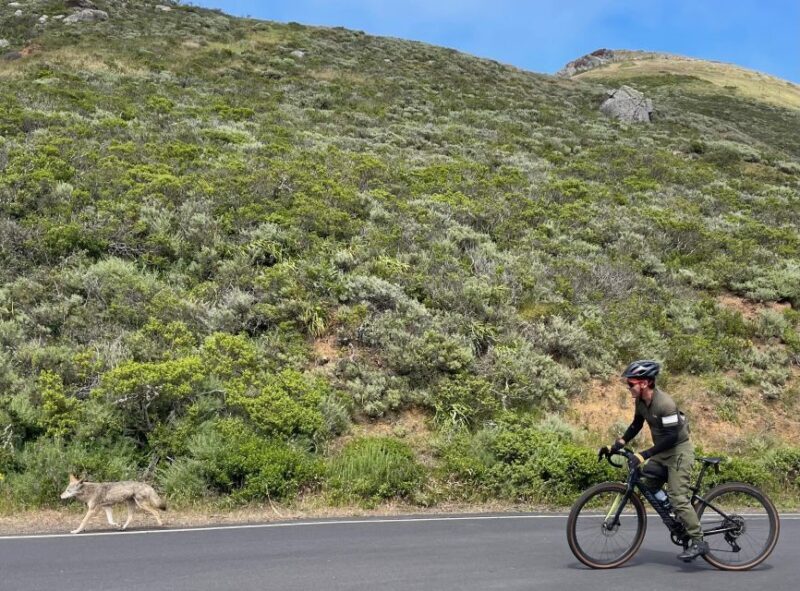 San Francisco: Marin Headlands Gravel Biking Tour +GG Bridge - The Experience and Value