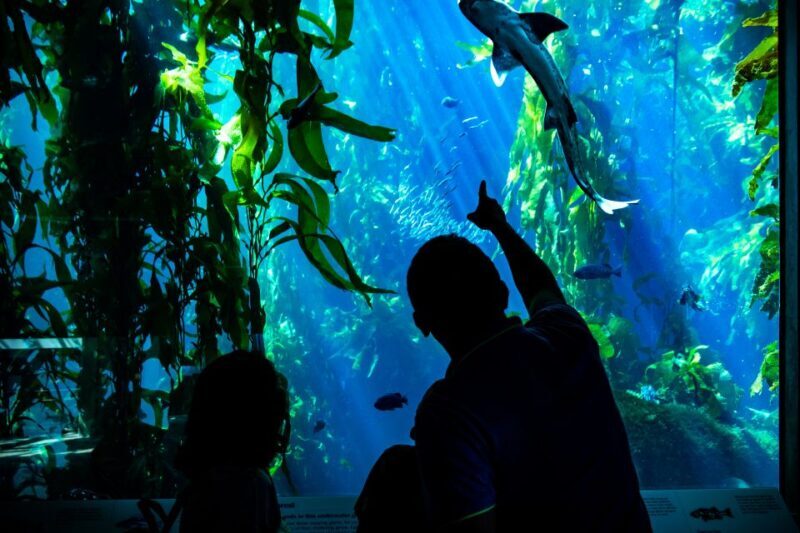 San Francisco: Monterey and Carmel Day Tour - Authentic Experiences and Authenticity