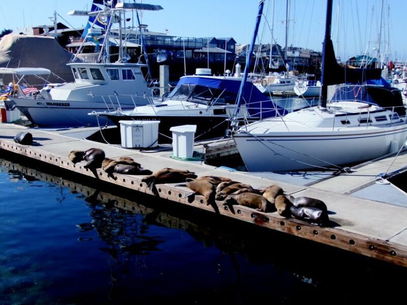 San Francisco: Monterey and Carmel Day Tour - FAQs
