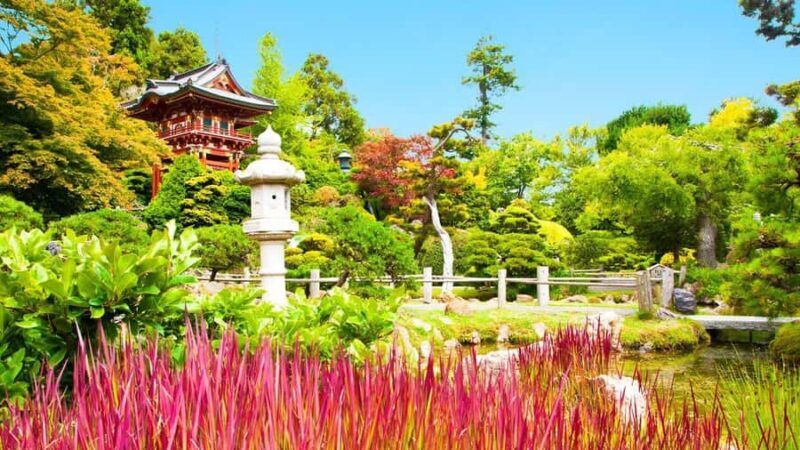 San Francisco: Movie and TV Filming Locations Tour - Authentic Experiences and Real Traveler Insights