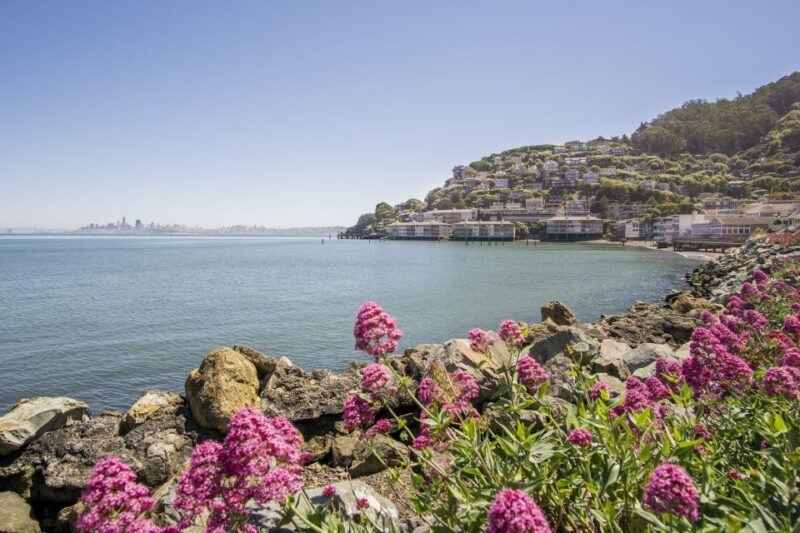 San Francisco: Muir Woods and Sausalito Experience - A Practical Guide to the San Francisco: Muir Woods and Sausalito Experience