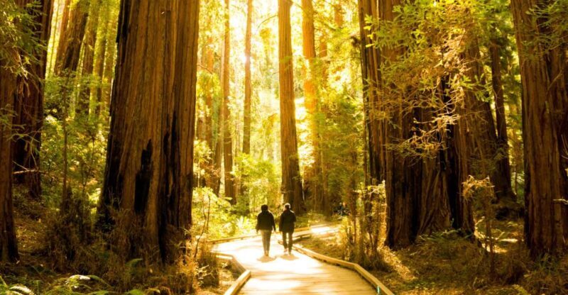 San Francisco: Muir Woods and Sausalito Experience - Frequently Asked Questions
