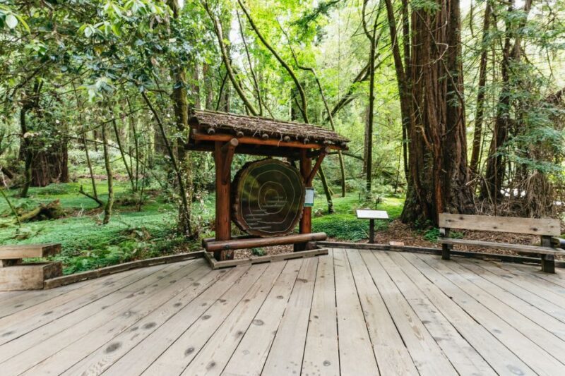 San Francisco: Muir Woods and Sausalito Small-Group Tour - Who Is This Tour Best For?