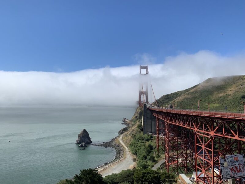 San Francisco: Muir Woods and Sausalito Small Group Tour - A Detailed Look at the Tour