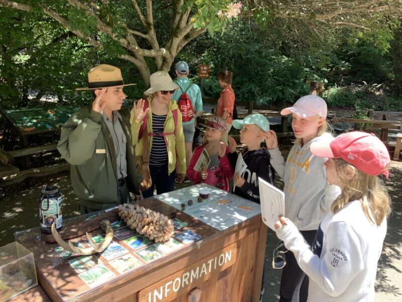 San Francisco: Muir Woods and Sausalito Small Group Tour - The Value