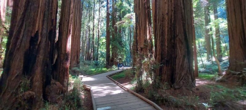 San Francisco: Muir Woods and Sausalito Small Group Tour - How This Tour Fits Into Your Trip