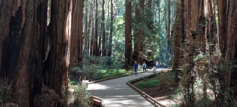 San Francisco: Muir Woods and Sausalito Small Group Tour - FAQs