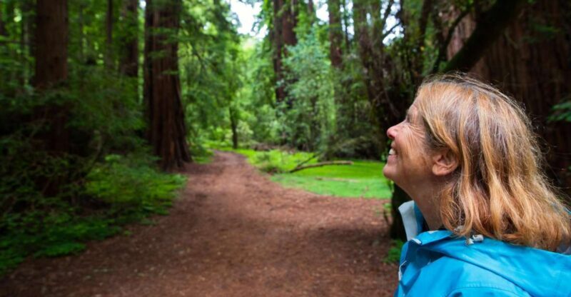 San Francisco: Muir Woods and Sausalito Tour with Admission - What’s Great About This Tour